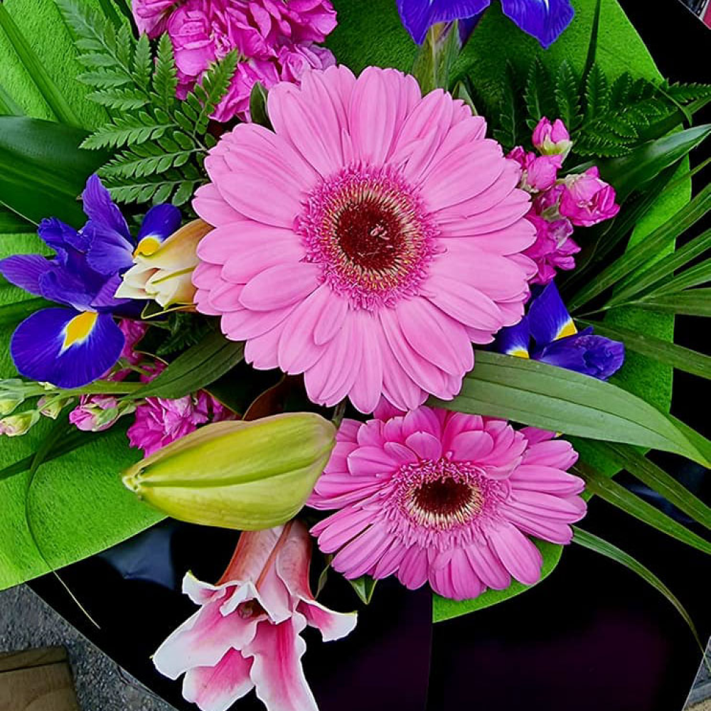 Pink Bliss