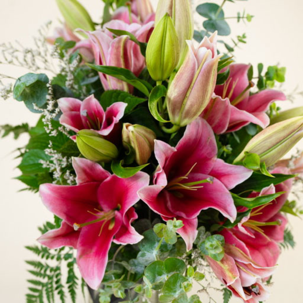 Blushing Beauty